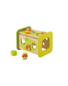 Sevi Activity Center